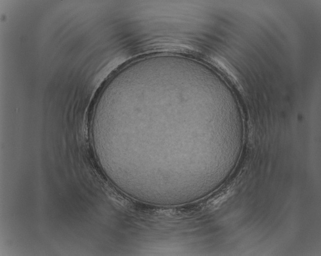 X0000089670883200707121221