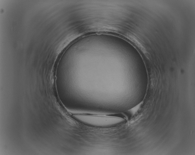 X0000089670885200707121221