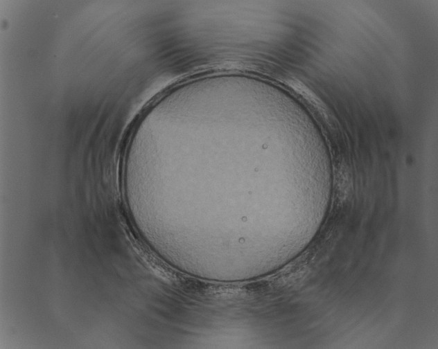 X0000089670886200707121221