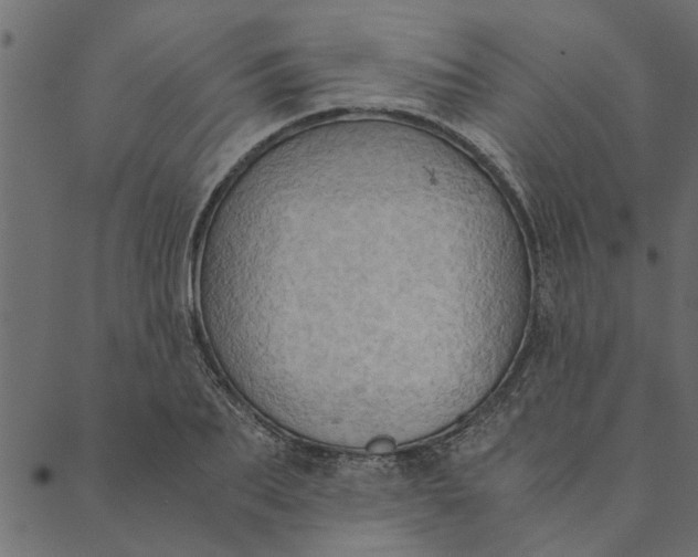 X0000089670887200707121221