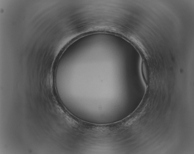 X0000089670888200707121221