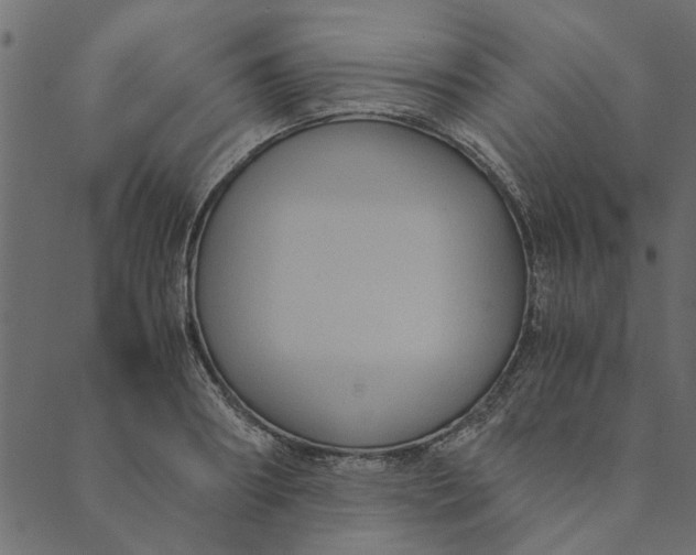 X0000089670890200707121221