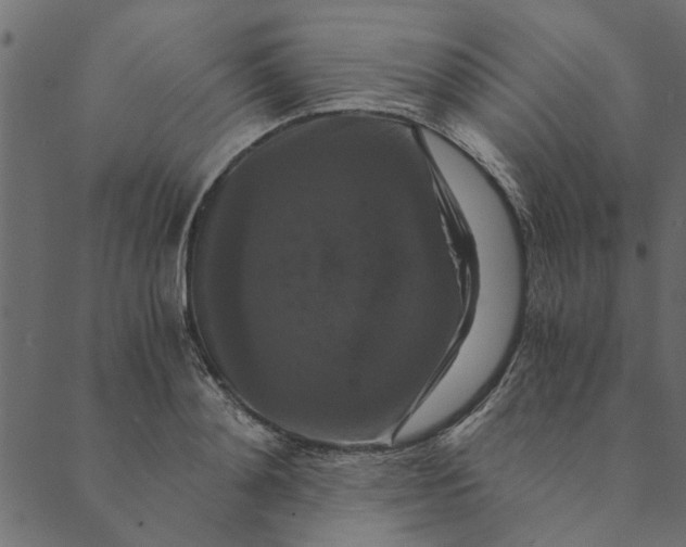 X0000089670892200707121221