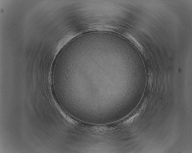 X0000089670893200707121221