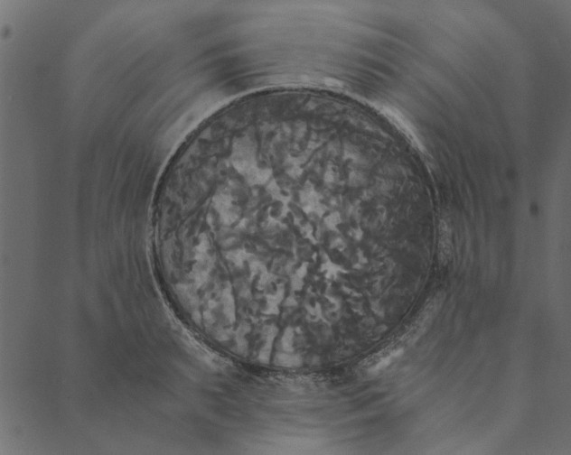 X0000089670895200707121221