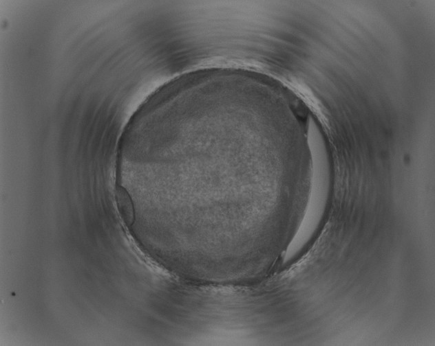 X0000089670896200707121221