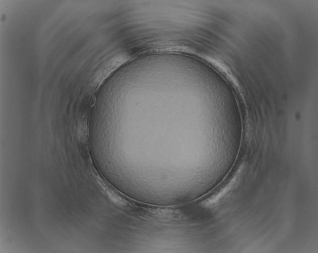 X0000089670897200707121221