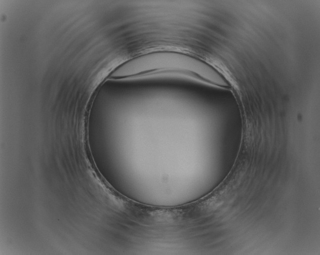 X0000089670898200707121221