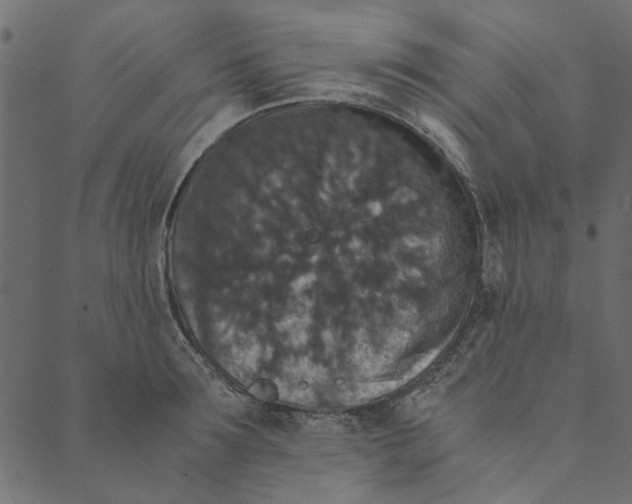 X0000089670899200707121221