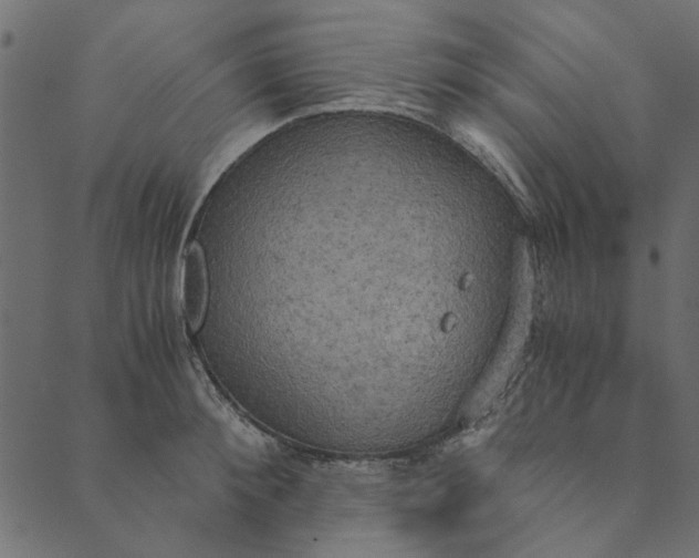 X0000089670900200707121221