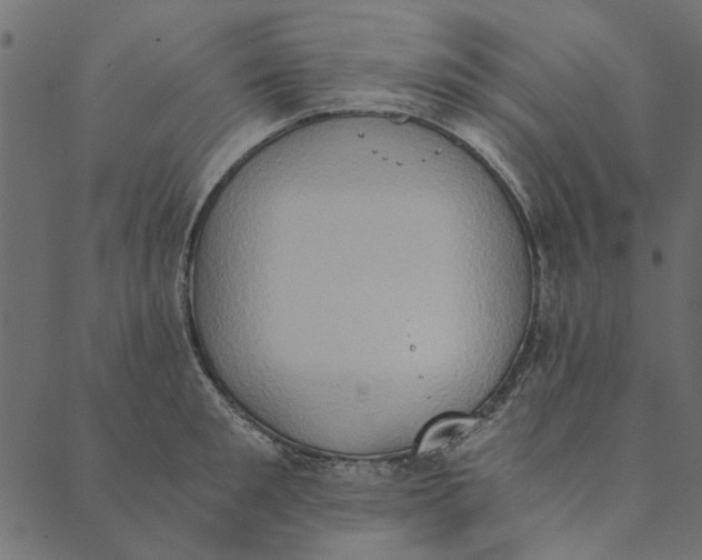 X0000089670901200707121221