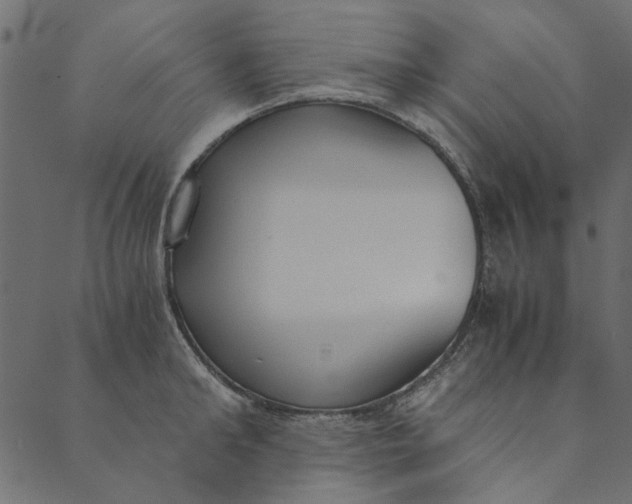 X0000089670902200707121221