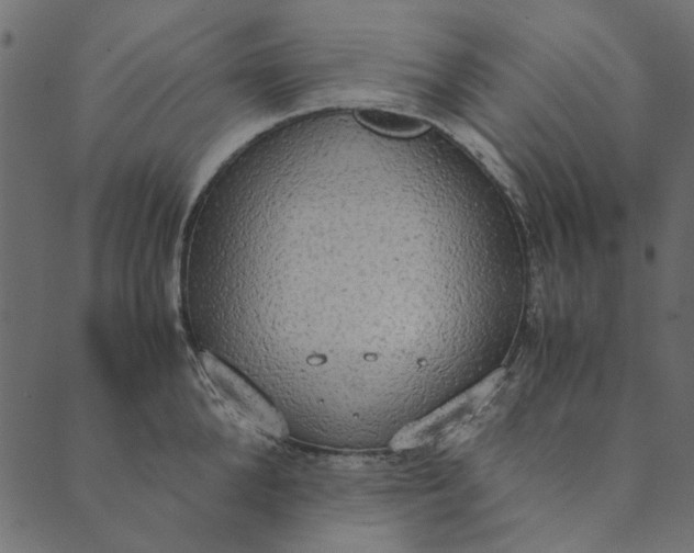 X0000089670904200707121221