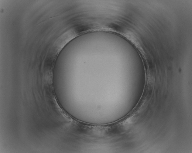 X0000089670905200707121221