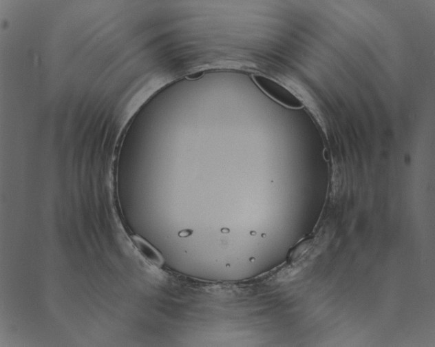 X0000089670906200707121221