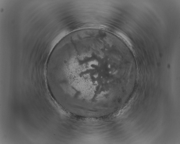 X0000089670907200707121221