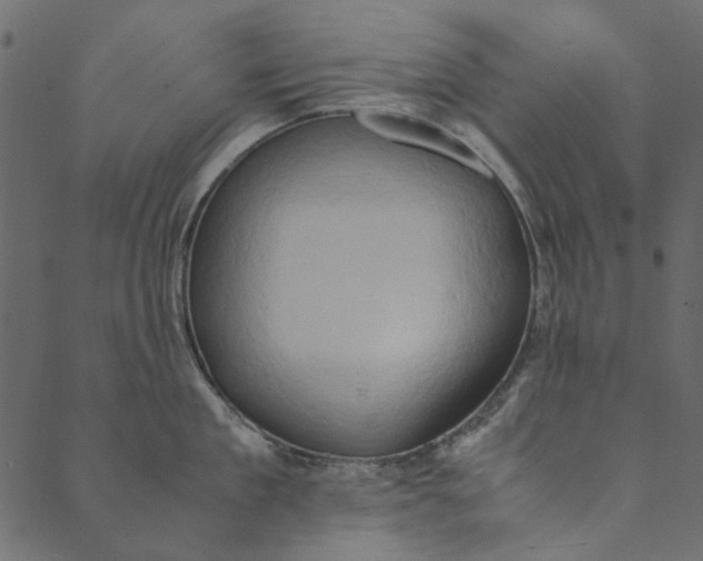 X0000089670909200707121221