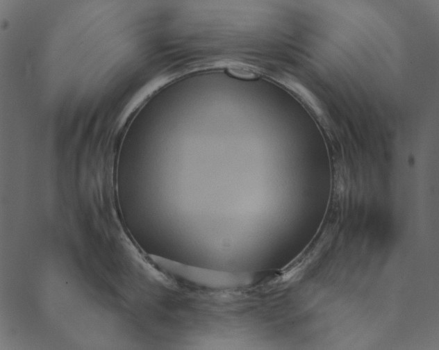 X0000089670910200707121221