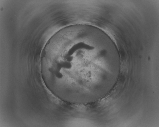 X0000089670911200707121221