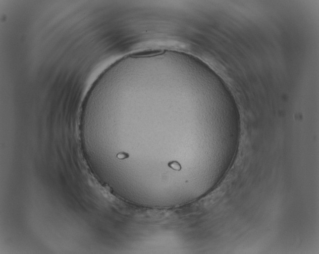 X0000089670912200707121221