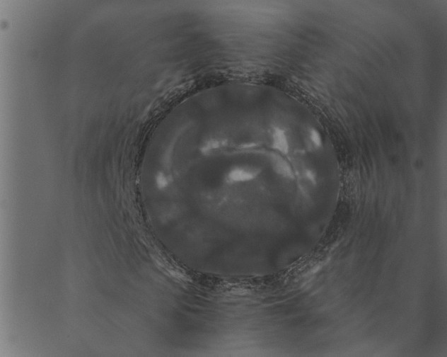 X0000089670913200707121220