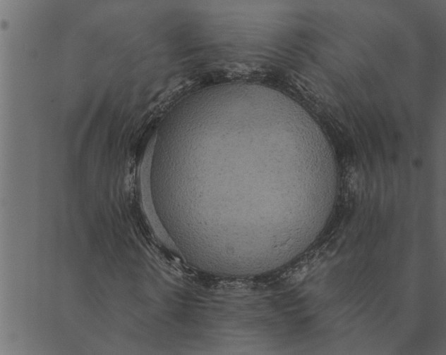 X0000089670914200707121220