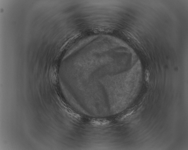 X0000089670915200707121220