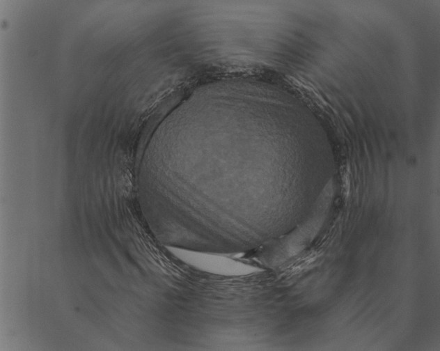 X0000089670916200707121220