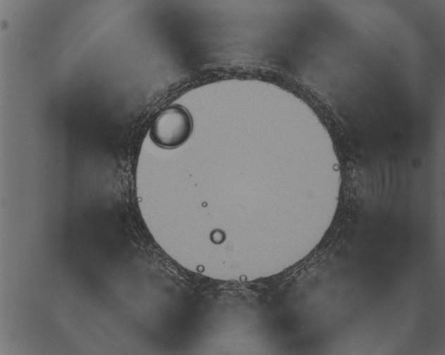 X0000089670918200707121220