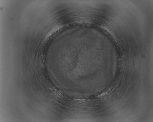 X0000089670919200707121220