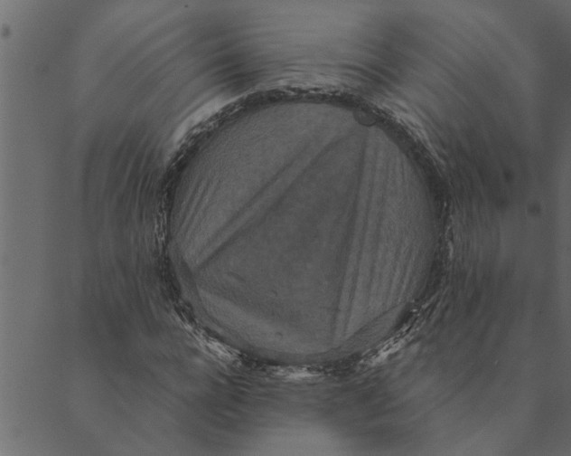 X0000089670920200707121220