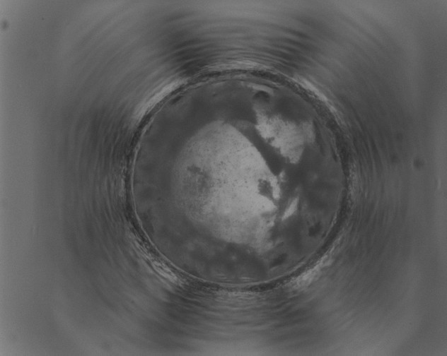 X0000089670921200707121220