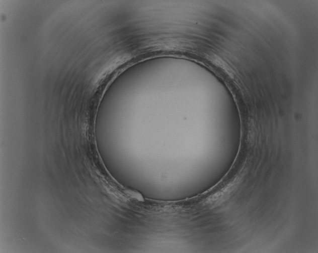 X0000089670922200707121220