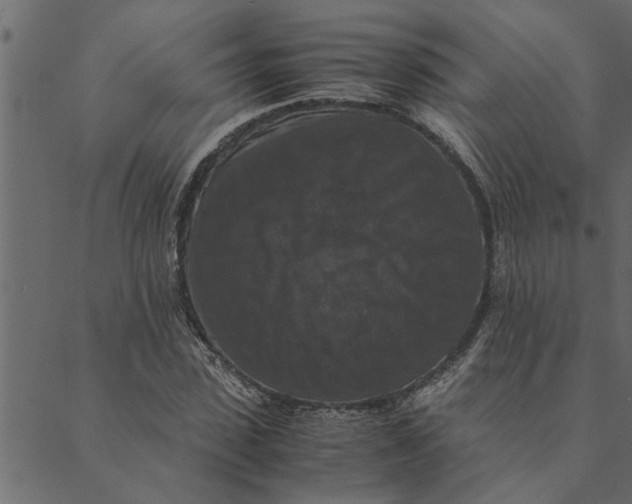 X0000089670923200707121220