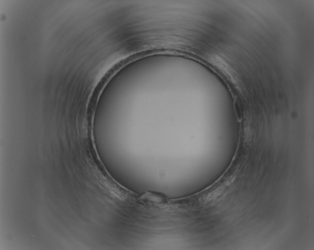 X0000089670924200707121220