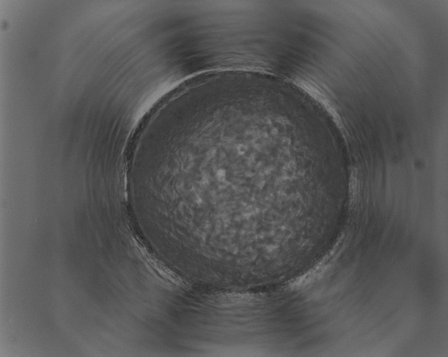 X0000089670925200707121220