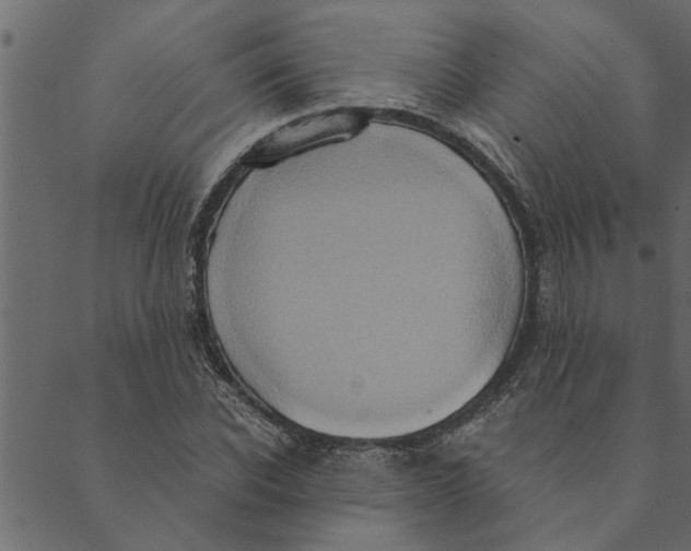 X0000089670926200707121220