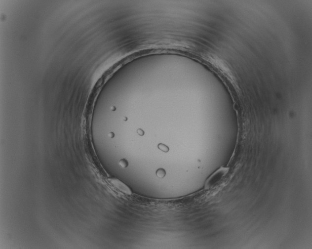 X0000089670928200707121220