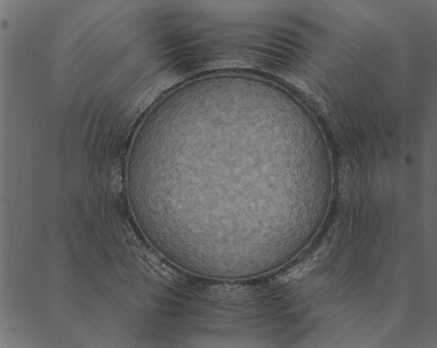 X0000089670929200707121220