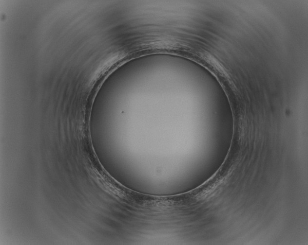 X0000089670930200707121220