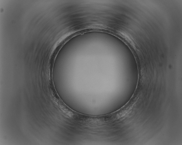 X0000089670931200707121220