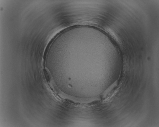 X0000089670932200707121220