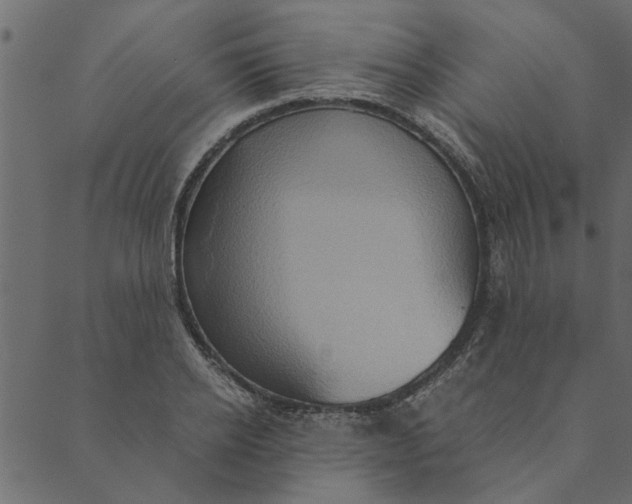 X0000089670934200707121220