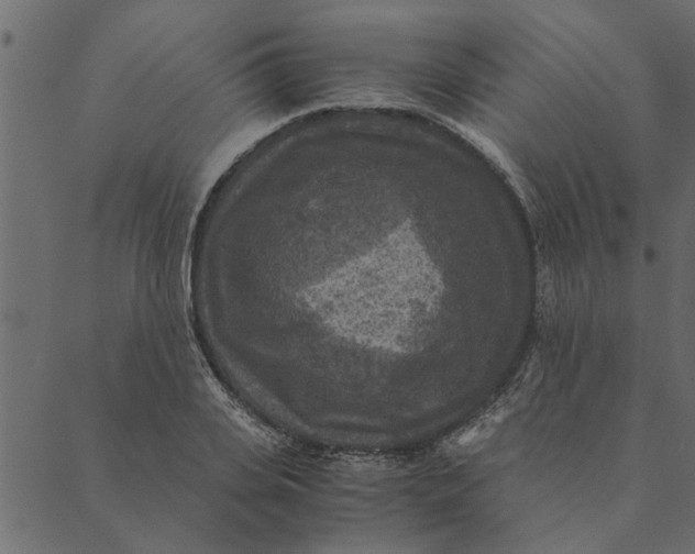 X0000089670935200707121220