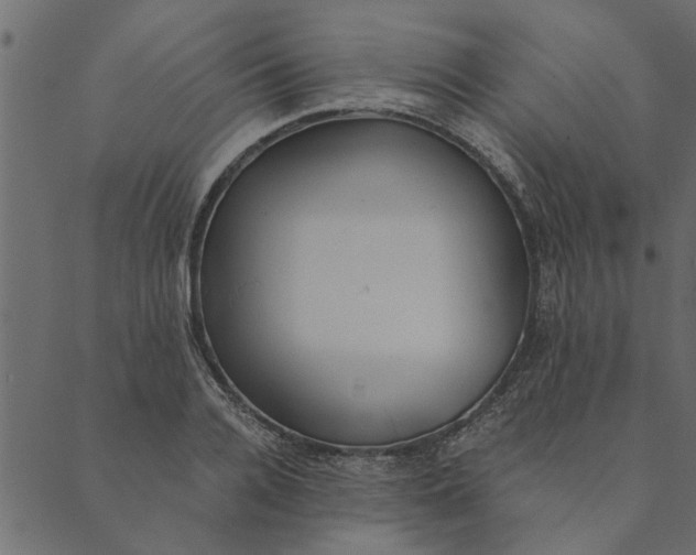 X0000089670936200707121220