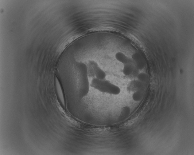 X0000089670937200707121220