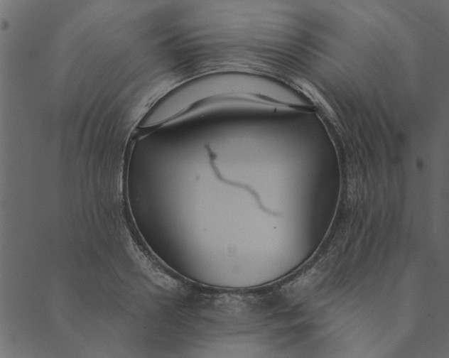 X0000089670938200707121220