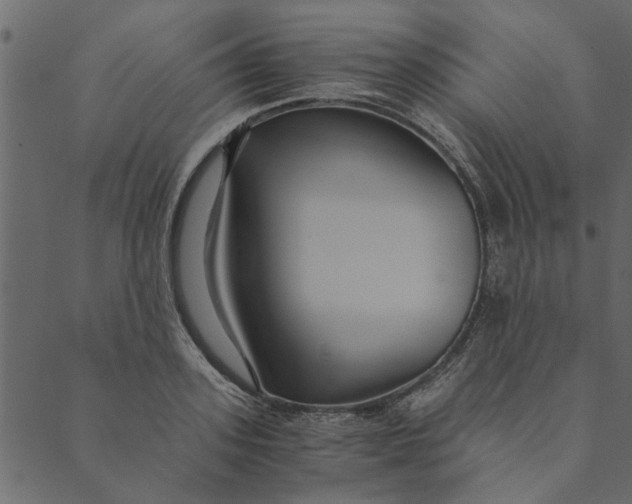 X0000089670939200707121220