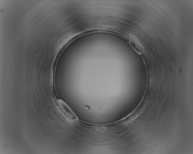 X0000089670940200707121220