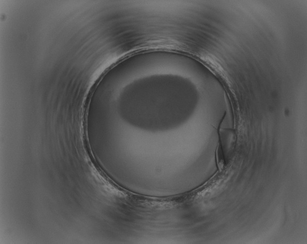 X0000089670941200707121220